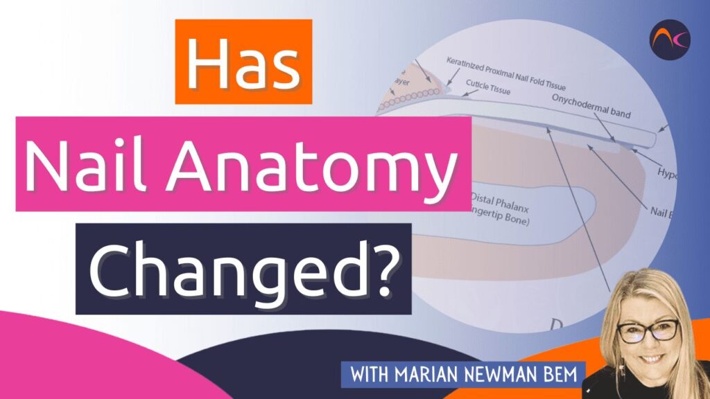 ¿Ha cambiado la anatomía de las uñas?