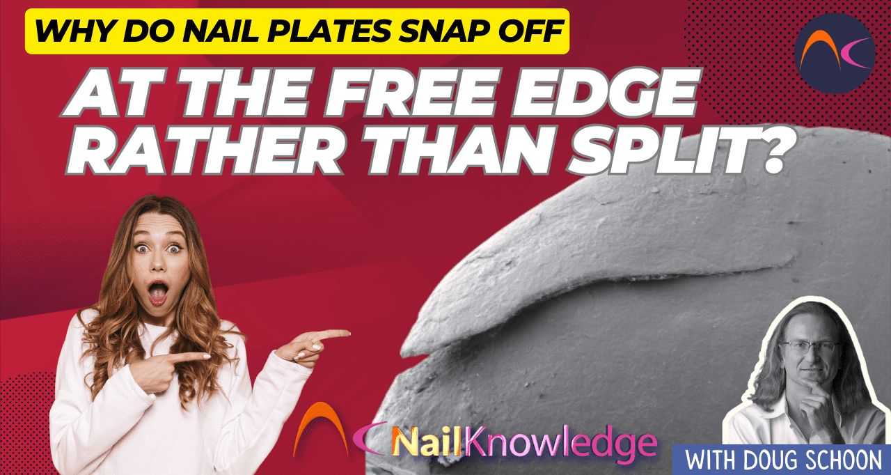 Nail plates snap off at free edge