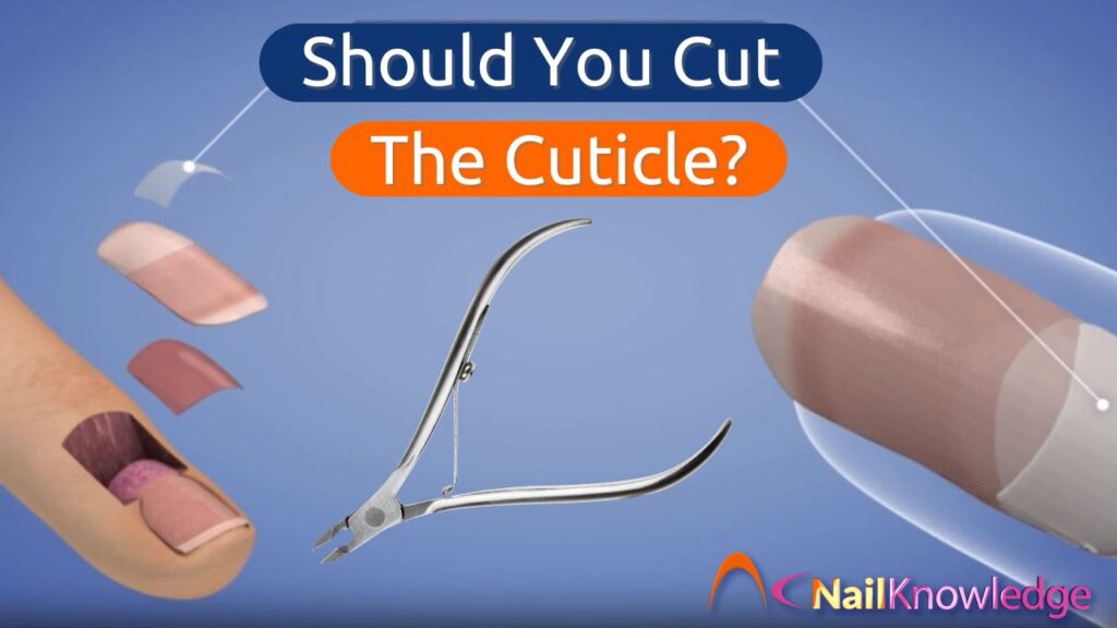 Should You Cut the Cuticle